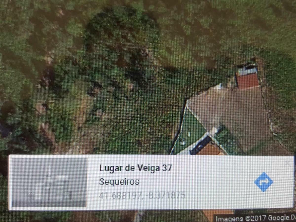 קאלדלאס Quinta Do Rio Homem מראה חיצוני תמונה